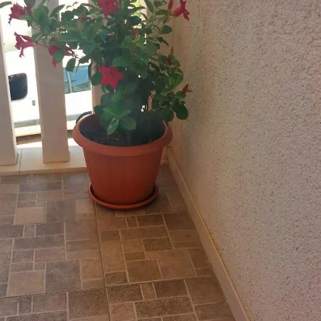 Apartment Nela Postira